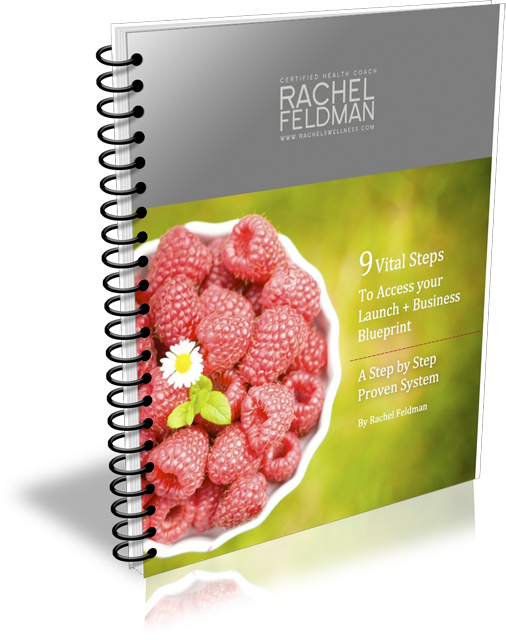 rachel 3d ebook how to launch