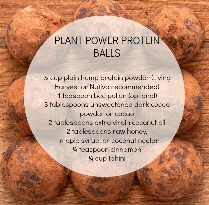 plant power protein balls